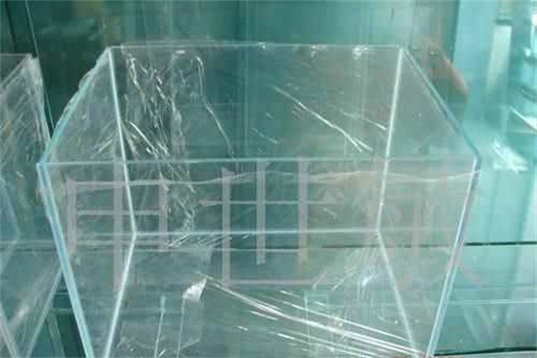 甘肅黄瓜污视频免费下载